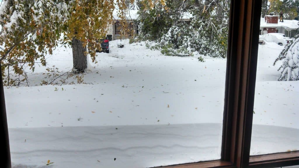 snow piled up outside window with leaves still on trees