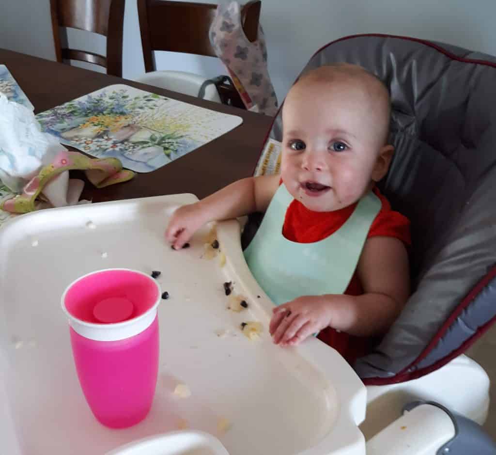 baby in high chair with finger foods and sippy cup