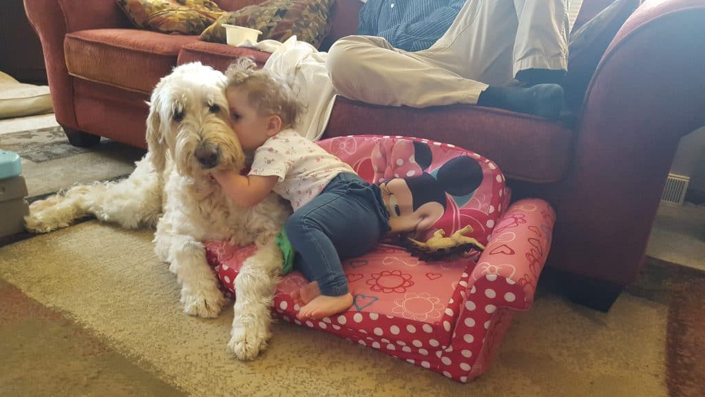 toddler sitting on foam kid-sized couch kissing dog