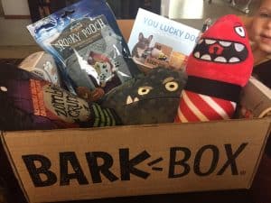 Bark Box