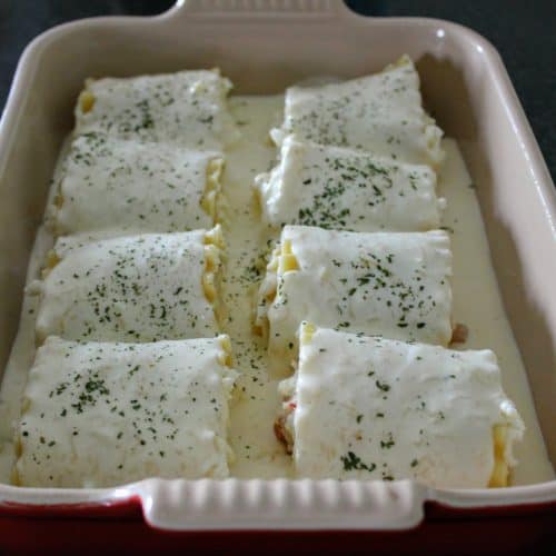 eight shrimp alfredo lasagna roll ups
