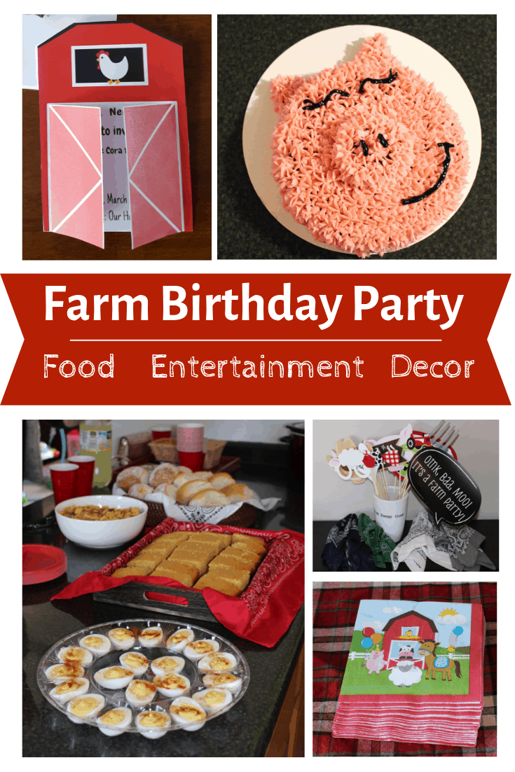 Farm Themed Birthday Party 