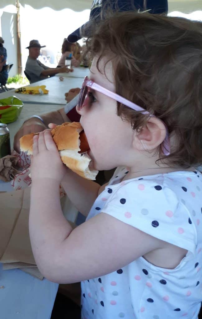 Toddler eating a hot dog