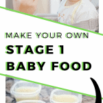 pin image "Make Your Own Stage 1 Baby Food the easy way"