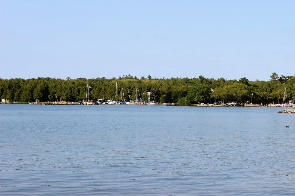 water with sailboats and trees in the distance