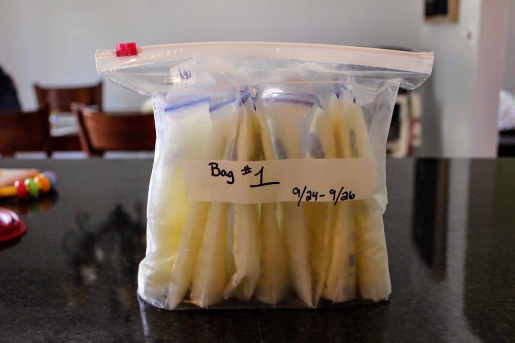 gallon sized bag filling with individual storage bags of frozen breastmilk