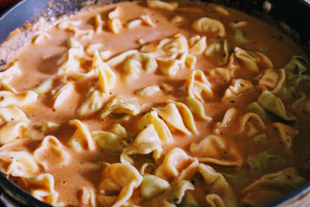 Close-up shot of tortellini soup