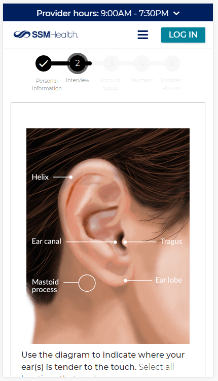 screen shot showing parts of the ear