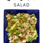 pin image "Asian Chicken Salad"