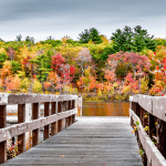 wooden bridge with beautiful fall foliage background