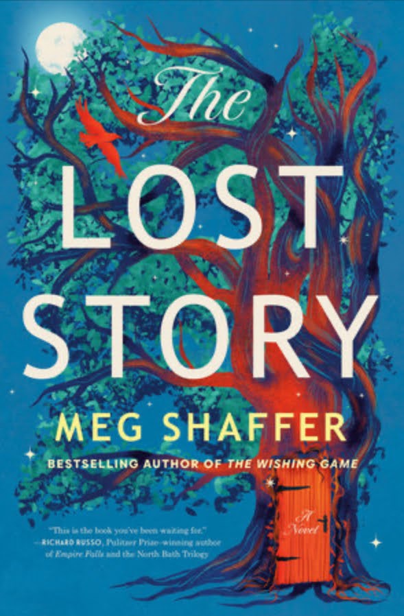 The Lost Story book cover