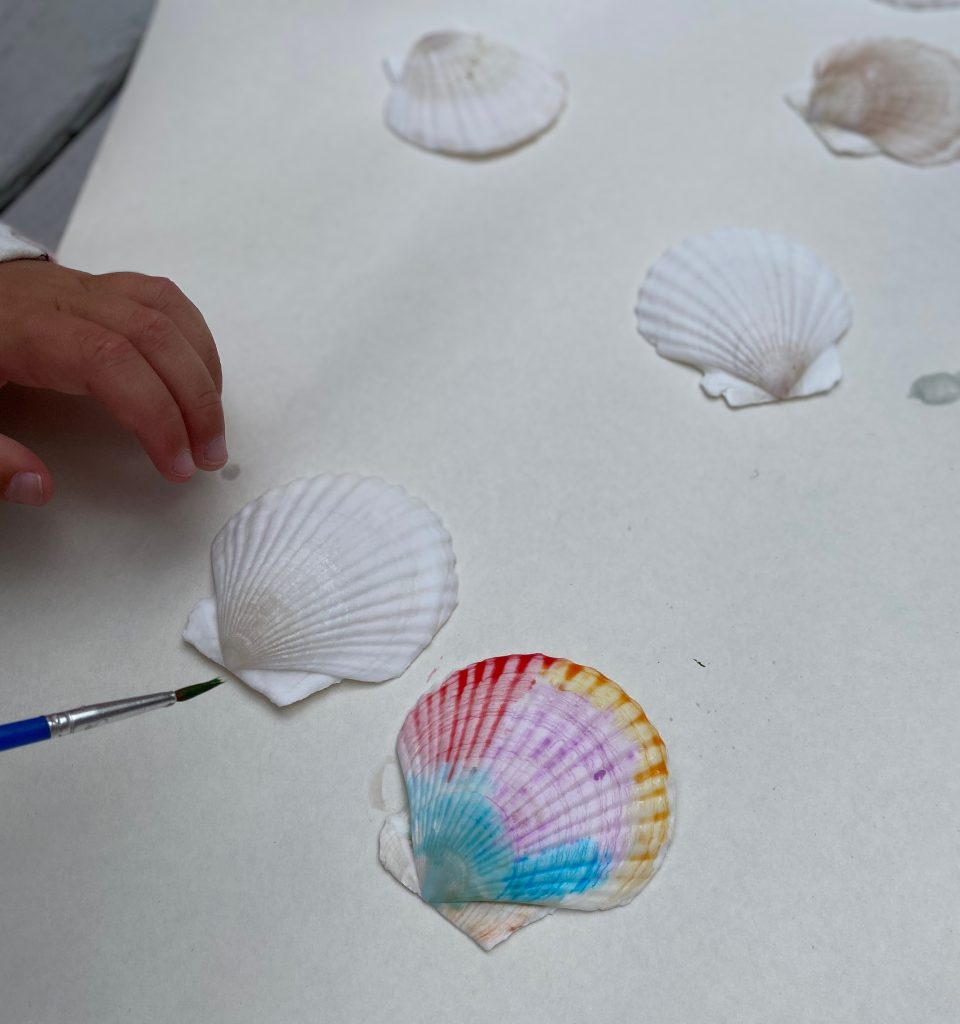 Painting Shells with watercolors