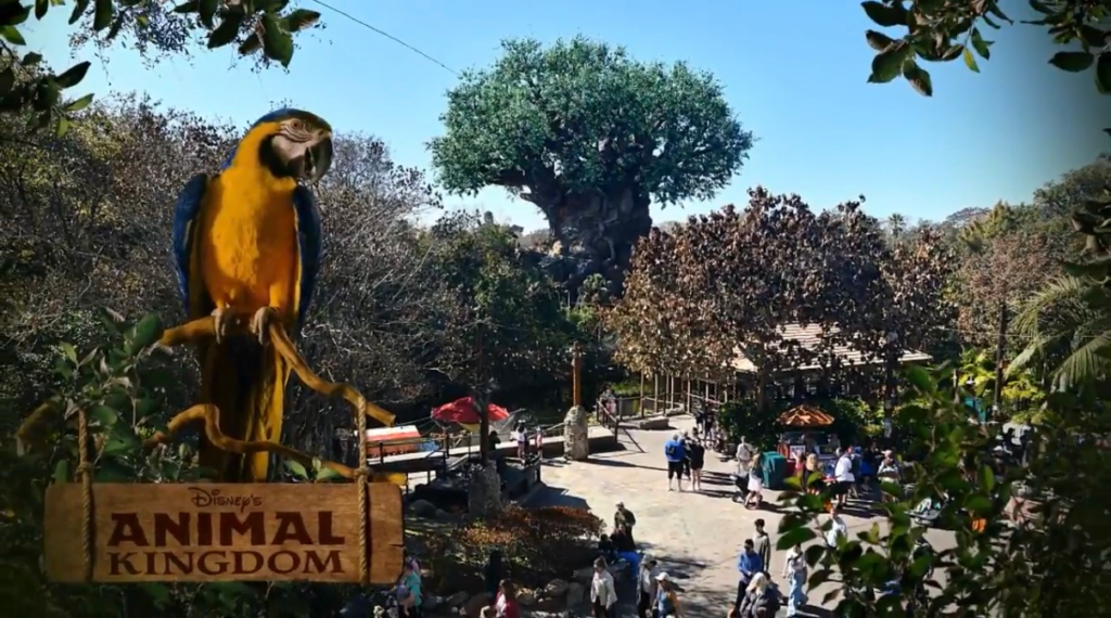 Tree of Life at Animal Kingdom