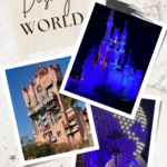 Disney World - photos of Cinderella's castle, the Tower of Terror, and Spaceship Earth
