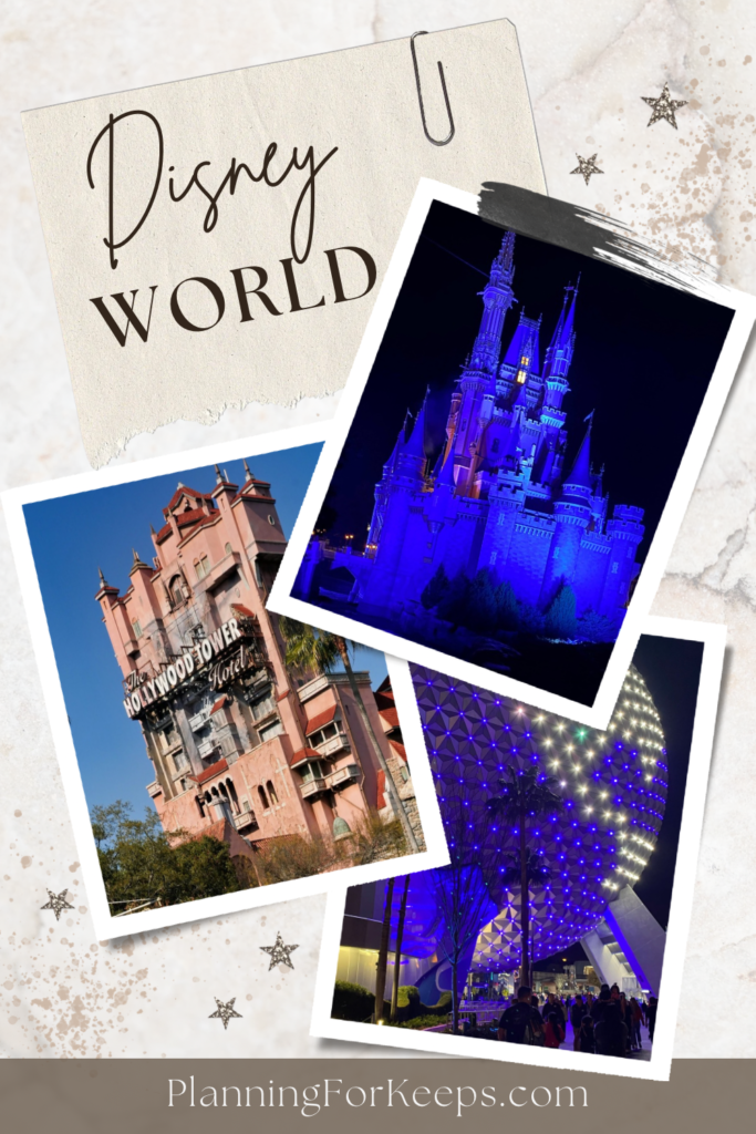 Disney World - photos of Cinderella's castle, the Tower of Terror, and Spaceship Earth