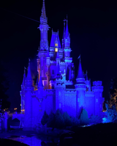 Cinderella's castle at night