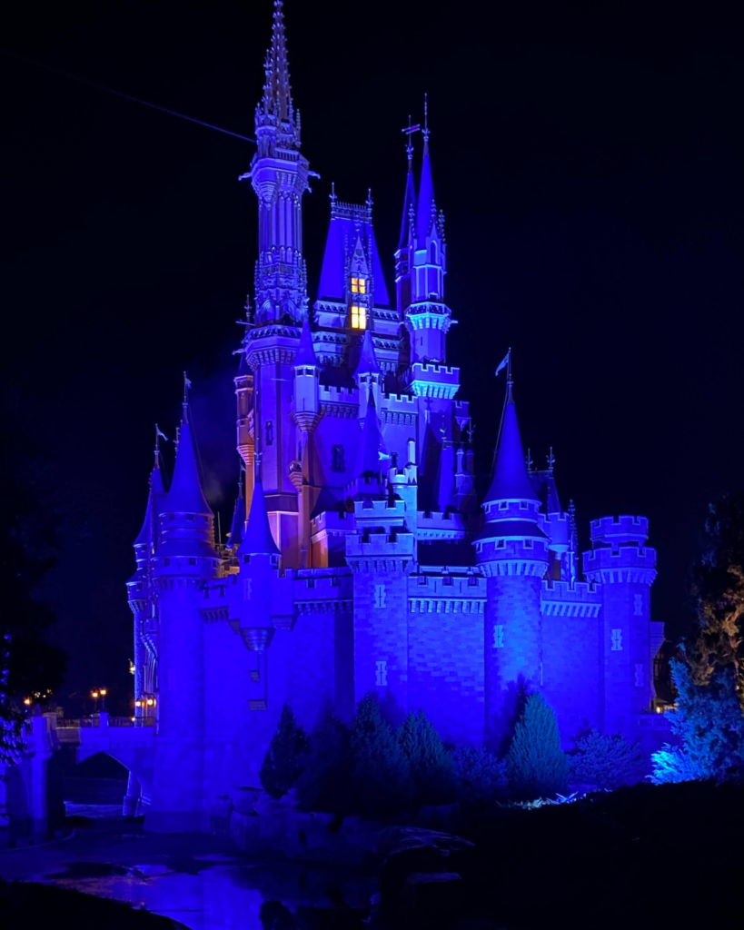 Cinderella's castle at night