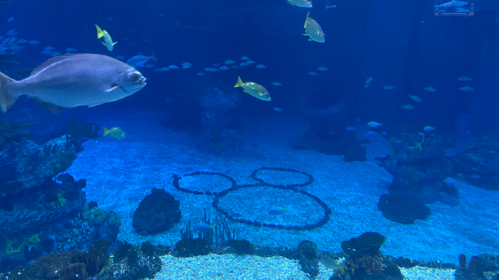 aquarium with Mickey design on floor 